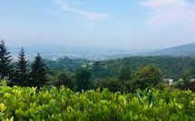 Photo submitted by guest of Villa Filippo