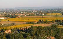 Photo submitted by guest of Villa Chiara