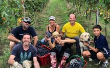 Photo submitted by guest of Panzalla