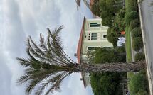 Photo submitted by guest of Villa Nicodemi