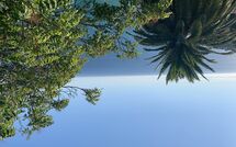 Photo submitted by guest of Villa Ginestra