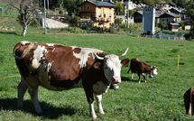 Photo submitted by guest of Maison chez Nous