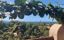 Photo submitted by guest of Bouganville