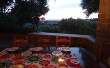 Photo submitted by guest of Bouganville