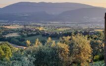 Photo submitted by guest of Paradiso