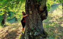 Photo submitted by guest of Podere Cantalena