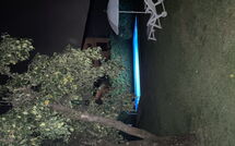 Photo submitted by guest of La Capannella