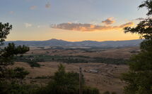 Photo submitted by guest of Le Querce di Campocane