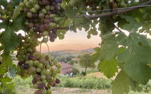 Photo submitted by guest of Casa della Peschiera