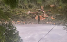 Photo submitted by guest of Il Poggiolo