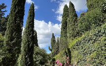 Photo submitted by guest of Montegufoni