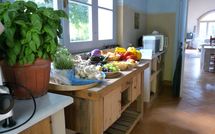 Photo submitted by guest of La Cenerara