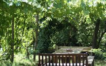 Photo submitted by guest of La Cenerara