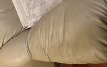 Photo submitted by guest of La Cipressa