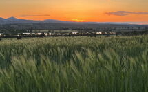 Photo submitted by guest of Poggio Falcone