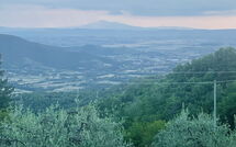 Photo submitted by guest of Casa Caldesi