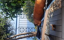 Photo submitted by guest of Orizzonte