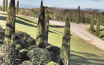 Photo submitted by guest of La Rimessa