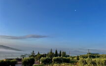 Photo submitted by guest of Cerretini