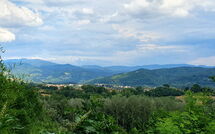 Photo submitted by guest of La Ripresa