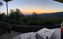 Photo submitted by guest of Orangerie degli Ulivi