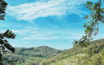 Photo submitted by guest of Cortemilia 602