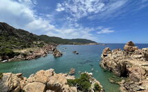 Photo submitted by guest of Li Cossi