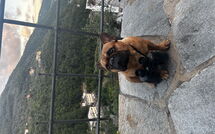 Photo submitted by guest of Belvedere, House with Private Pool and Garden, Rec