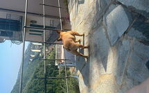 Photo submitted by guest of Belvedere, House with Private Pool and Garden, Rec