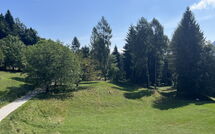 Photo submitted by guest of Alpe