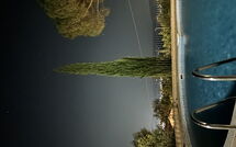 Photo submitted by guest of Villino Alba