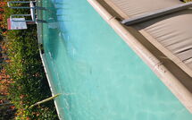 Photo submitted by guest of Villetta Luciana