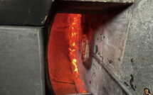 Photo submitted by guest of Giorgio Winery