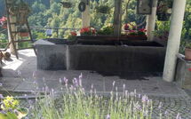 Photo submitted by guest of Il Gianlupo Grigio