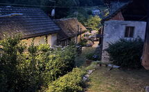 Photo submitted by guest of Il Gianlupo Grigio