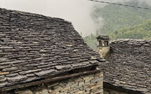 Photo submitted by guest of Il Gianlupo Grigio