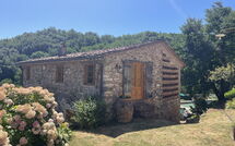 Photo submitted by guest of Bottino