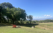 Photo submitted by guest of Villa Il Troscione