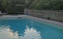 Photo submitted by guest of Casa la Primula