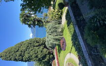 Photo submitted by guest of Gianni