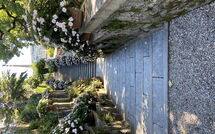 Photo submitted by guest of Gianni