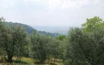 Photo submitted by guest of San Romolo