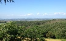 Photo submitted by guest of Villa Isabella