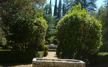 Photo submitted by guest of Palazzo Sarteano