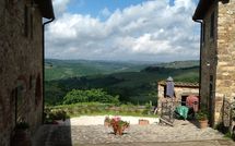 Photo submitted by guest of La Chiantigiana