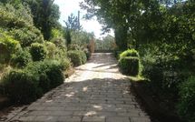 Photo submitted by guest of Le Rondini