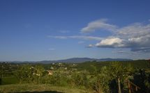 Photo submitted by guest of Collina