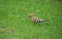 Photo submitted by guest of Casa Lucia