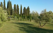 Photo submitted by guest of Villa Fontine