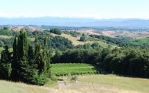 Photo submitted by guest of Villa Isabella